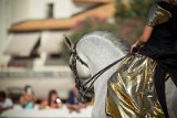 IMG_8105_Pascal_Lahure
