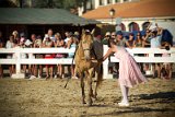 IMG_8398_Pascal_Lahure