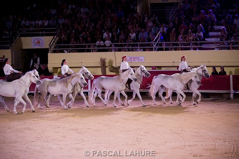 IMG_8413_Pascal_Lahure.jpg