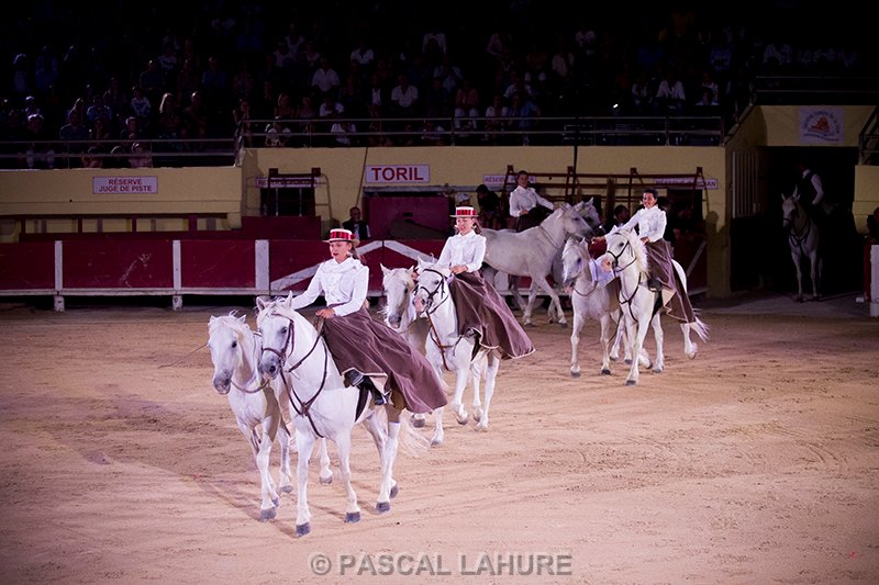 IMG_8414_Pascal_Lahure.jpg