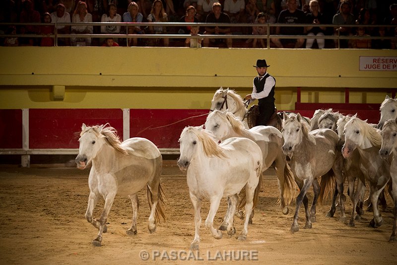 IMG_8423_Pascal_Lahure.jpg