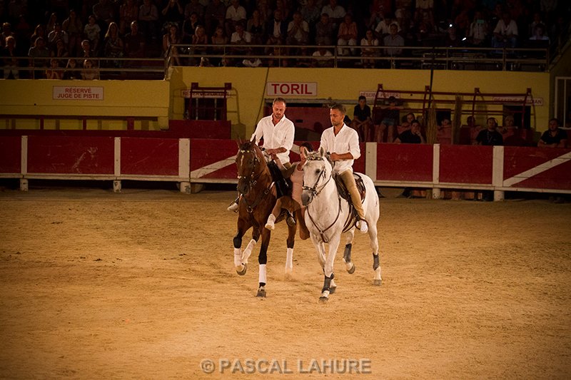 IMG_8436_Pascal_Lahure.jpg