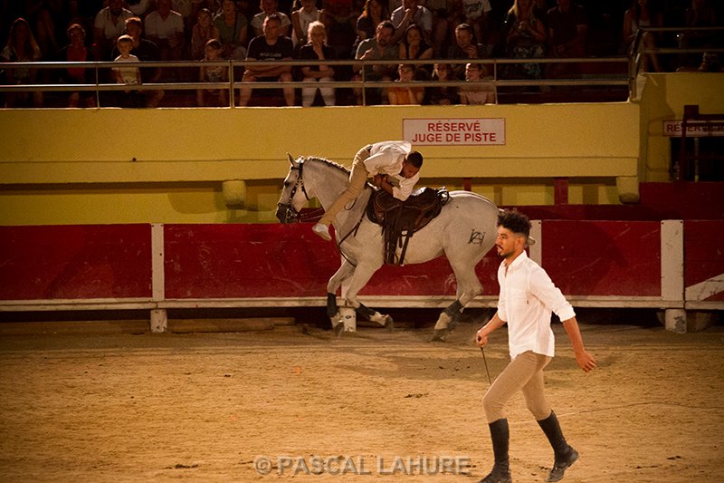 IMG_8442_Pascal_Lahure.jpg