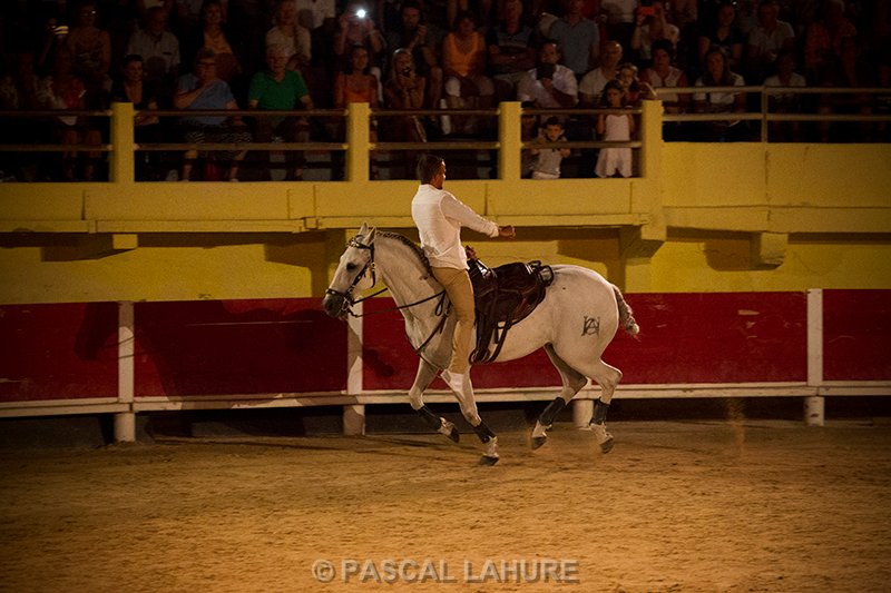 IMG_8443_Pascal_Lahure.jpg