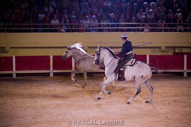 IMG_8467_Pascal_Lahure.jpg