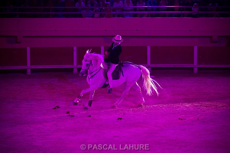 IMG_8491_Pascal_Lahure.jpg