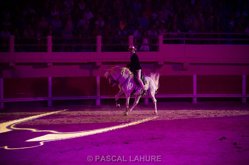 IMG_8497_Pascal_Lahure.jpg