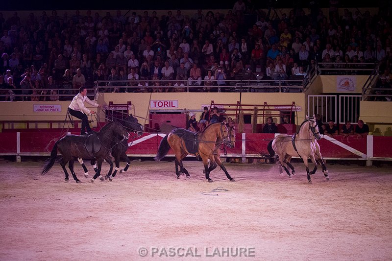 IMG_8543_Pascal_Lahure.jpg