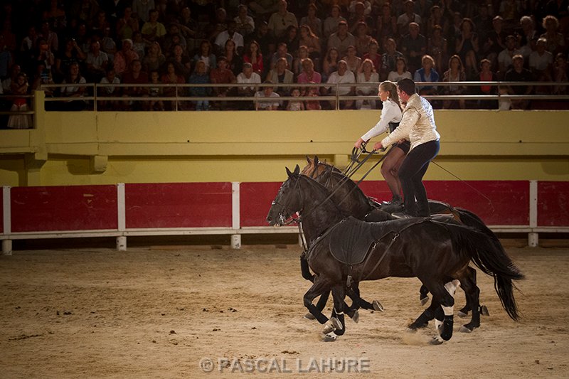IMG_8556_Pascal_Lahure.jpg