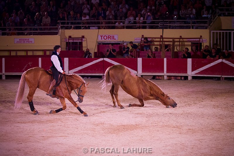 IMG_8602_Pascal_Lahure.jpg