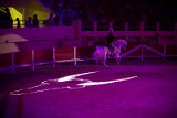 IMG_8495_Pascal_Lahure