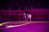 IMG_8497_Pascal_Lahure