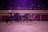 IMG_8540_Pascal_Lahure