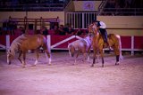 IMG_8573_Pascal_Lahure