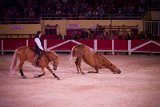 IMG_8602_Pascal_Lahure