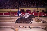 IMG_8692_Pascal_Lahure