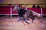 Spectacle aux Arènes