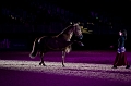 _42I2961_Pascal_Lahure