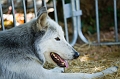 IMG_8863PL