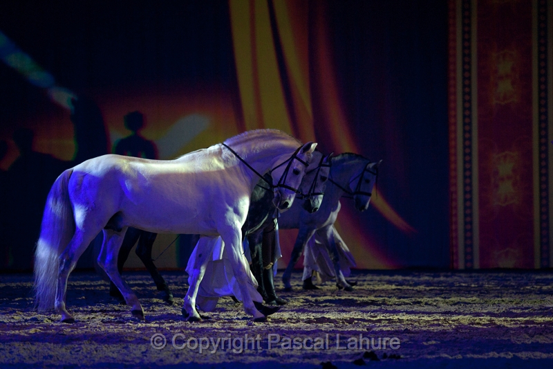 _F5Q2975_Pascal_Lahure.JPG