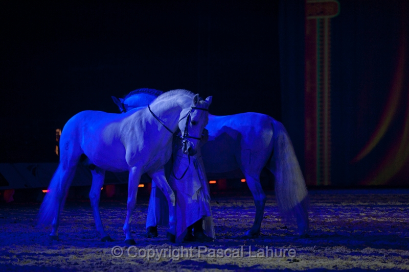 _F5Q2978_Pascal_Lahure.JPG