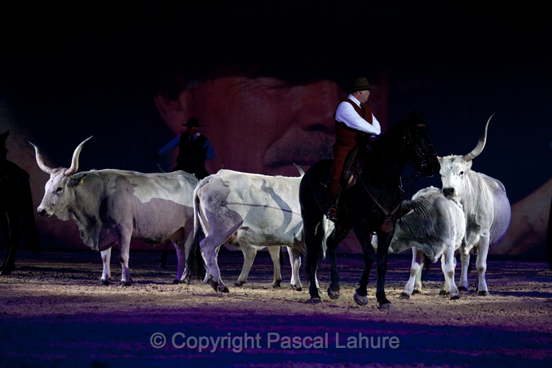 _F5Q2625_Pascal_Lahure.JPG