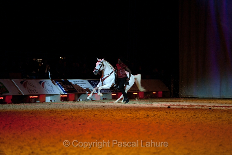 _F5Q2759_Pascal_Lahure.JPG