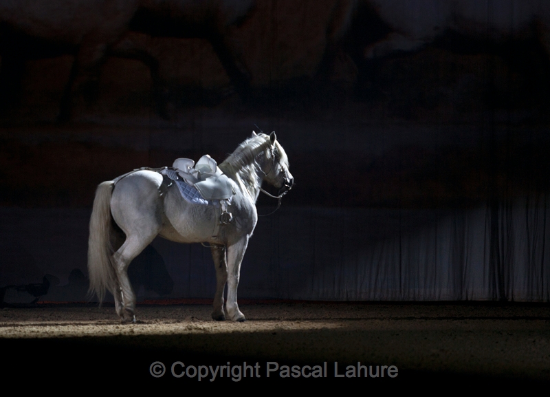 _F5Q2511_Pascal_Lahure.JPG