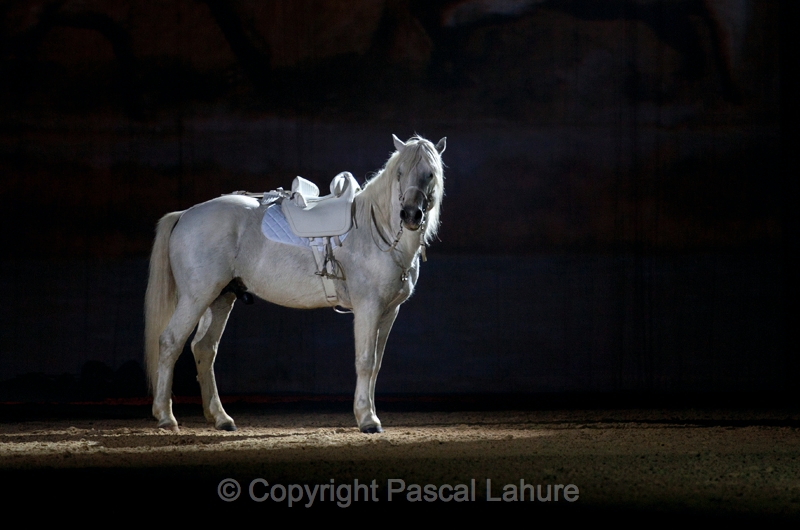 _F5Q2513_Pascal_Lahure.JPG