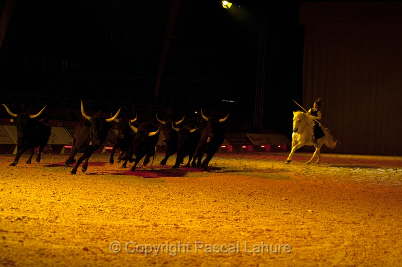 _F5Q2529_Pascal_Lahure.JPG