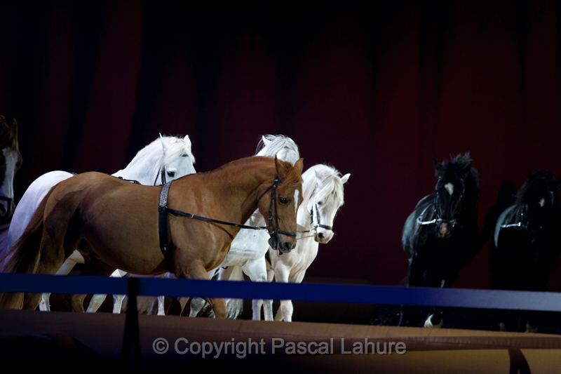 _F5Q2641_Pascal_Lahure.JPG
