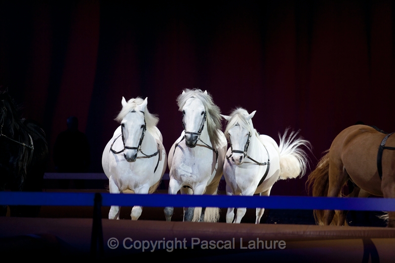 _F5Q2643_Pascal_Lahure.JPG