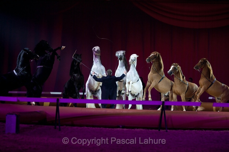 _F5Q2648_Pascal_Lahure.JPG