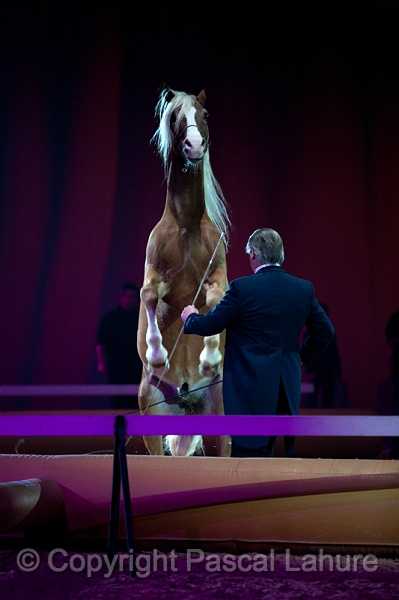 _F5Q2653_Pascal_Lahure.JPG