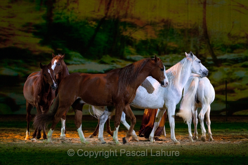 _F5Q2845_Pascal_Lahure.JPG
