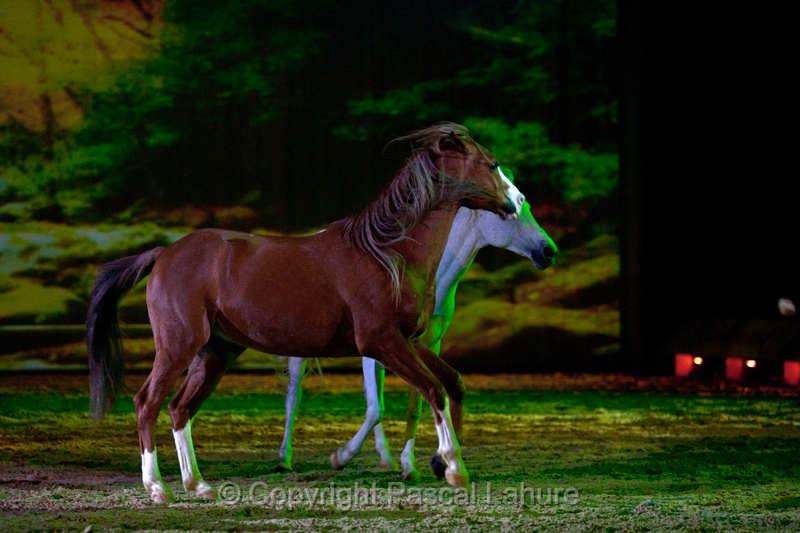 _F5Q2849_Pascal_Lahure.JPG