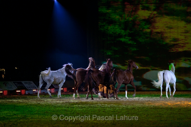 _F5Q2851_Pascal_Lahure.JPG