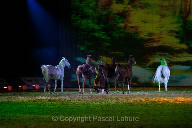 _F5Q2852_Pascal_Lahure.JPG