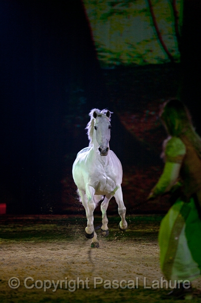 _F5Q2856_Pascal_Lahure.JPG