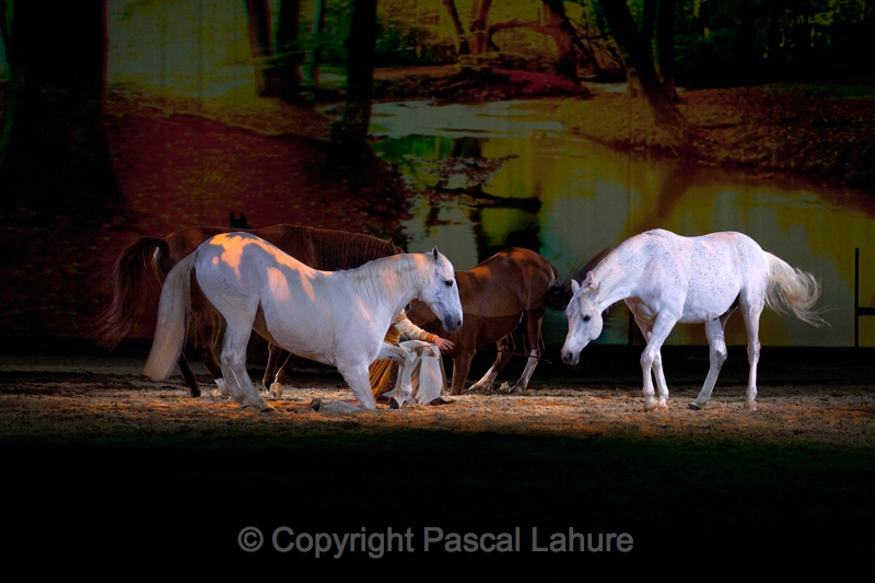 _F5Q2873_Pascal_Lahure.JPG