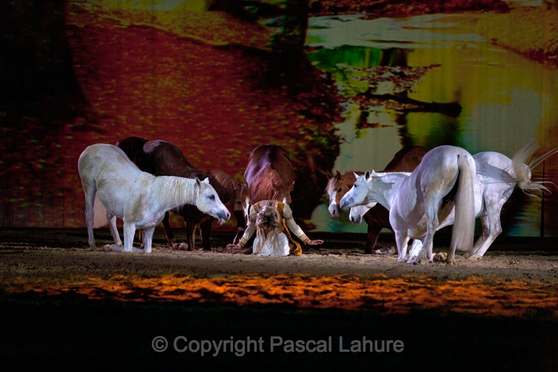 _F5Q2916_Pascal_Lahure.JPG