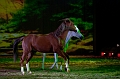 _F5Q2849_Pascal_Lahure