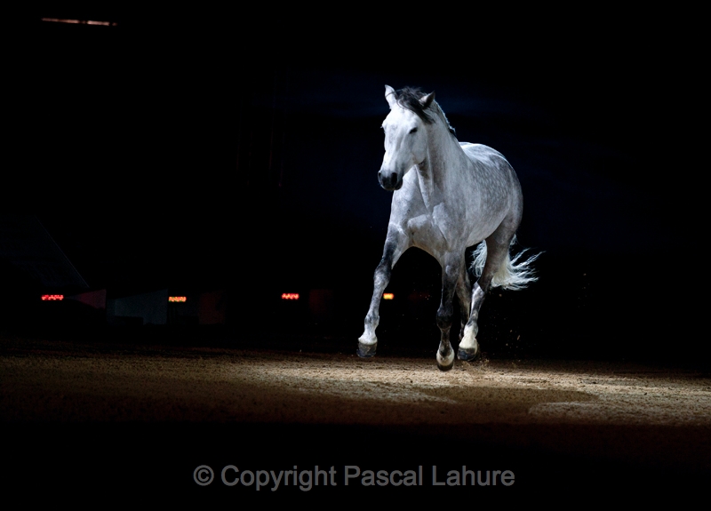 _F5Q2155_Pascal_Lahure.JPG