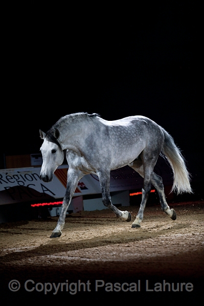 _F5Q2156_Pascal_Lahure.JPG