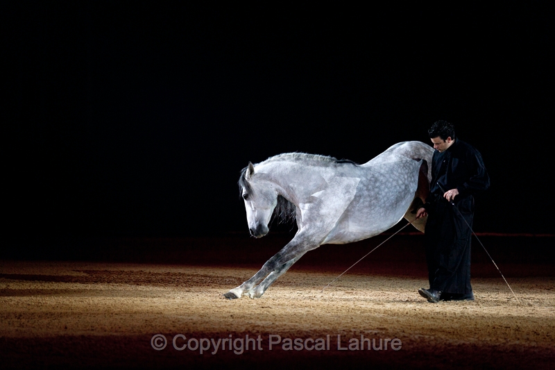 _F5Q2160_Pascal_Lahure.JPG