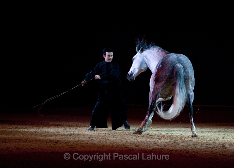 _F5Q2163_Pascal_Lahure.JPG