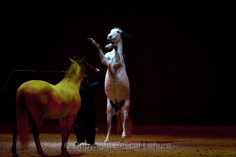 _F5Q2175_Pascal_Lahure.JPG