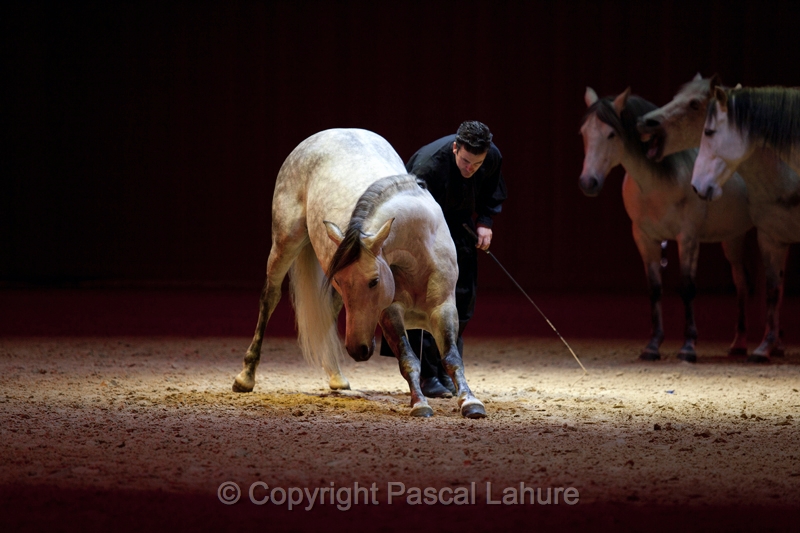 _F5Q2193_Pascal_Lahure.JPG