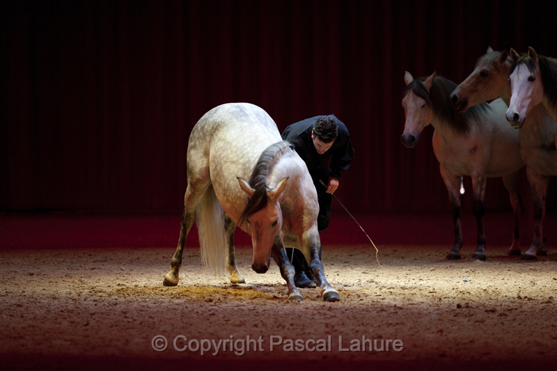_F5Q2194_Pascal_Lahure.JPG