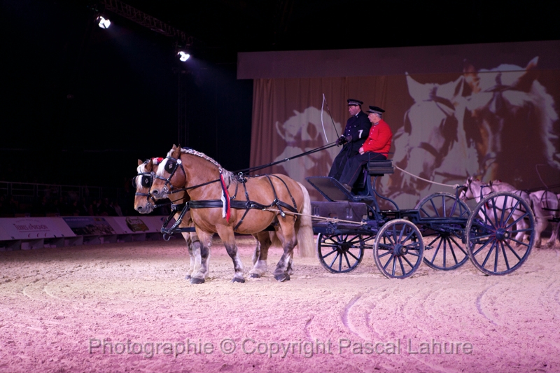 _F5Q2094_Pascal_Lahure.JPG